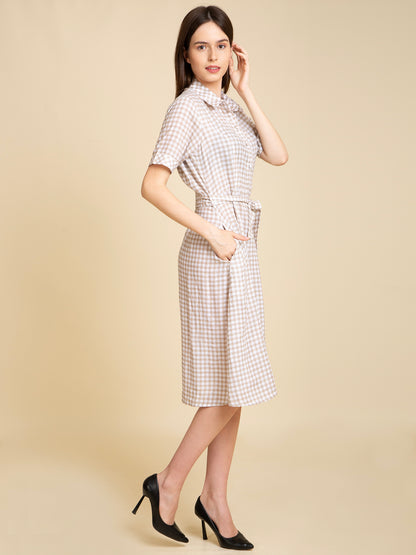 Gingham Belted Shirt Dress